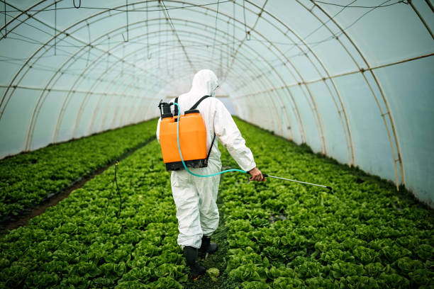 Best Affordable Pest Control Services  in Harrisville, WV