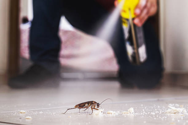 Best Best Pest Control Companies  in Harrisville, WV